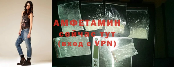 прущие грибы Абаза