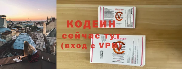 прущие грибы Абаза