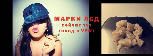 прущие грибы Абаза